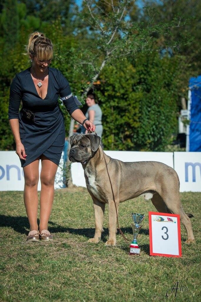 RADUNO DELL ANNO 2017 Italie